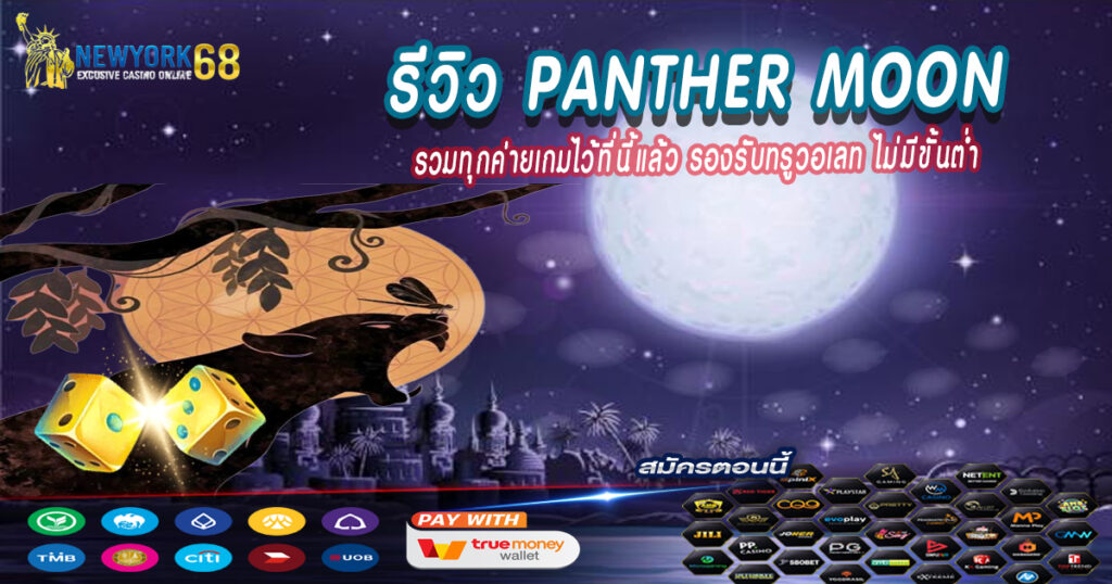 รีวิว Panther Moon